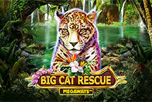 Big Cat Rescue Megaway